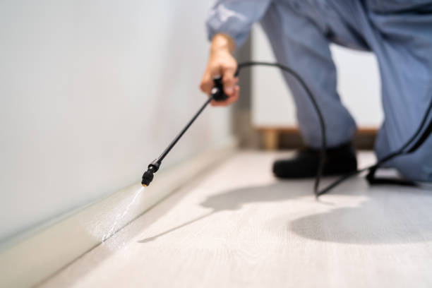 Licensed Emergency Pest Control service in Breckinridge Center, KY - Nex Pest Control