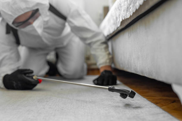 Professional Emergency Pest Control technician working in Breckinridge Center, KY