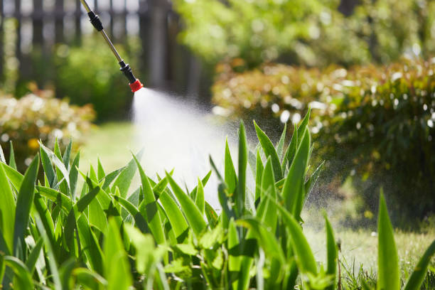 24/7 Emergency Emergency Pest Control experts in Breckinridge Center, KY