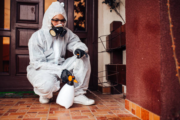 Reliable Emergency Pest Control contractor in Breckinridge Center, KY by Nex Pest Control