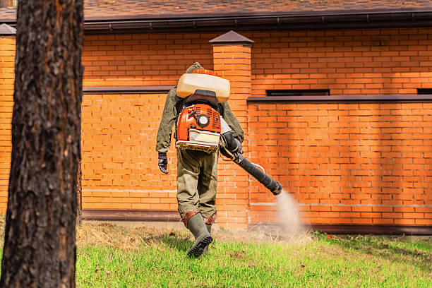 Trusted Fumigation Services service in Breckinridge Center, KY - Nex Pest Control